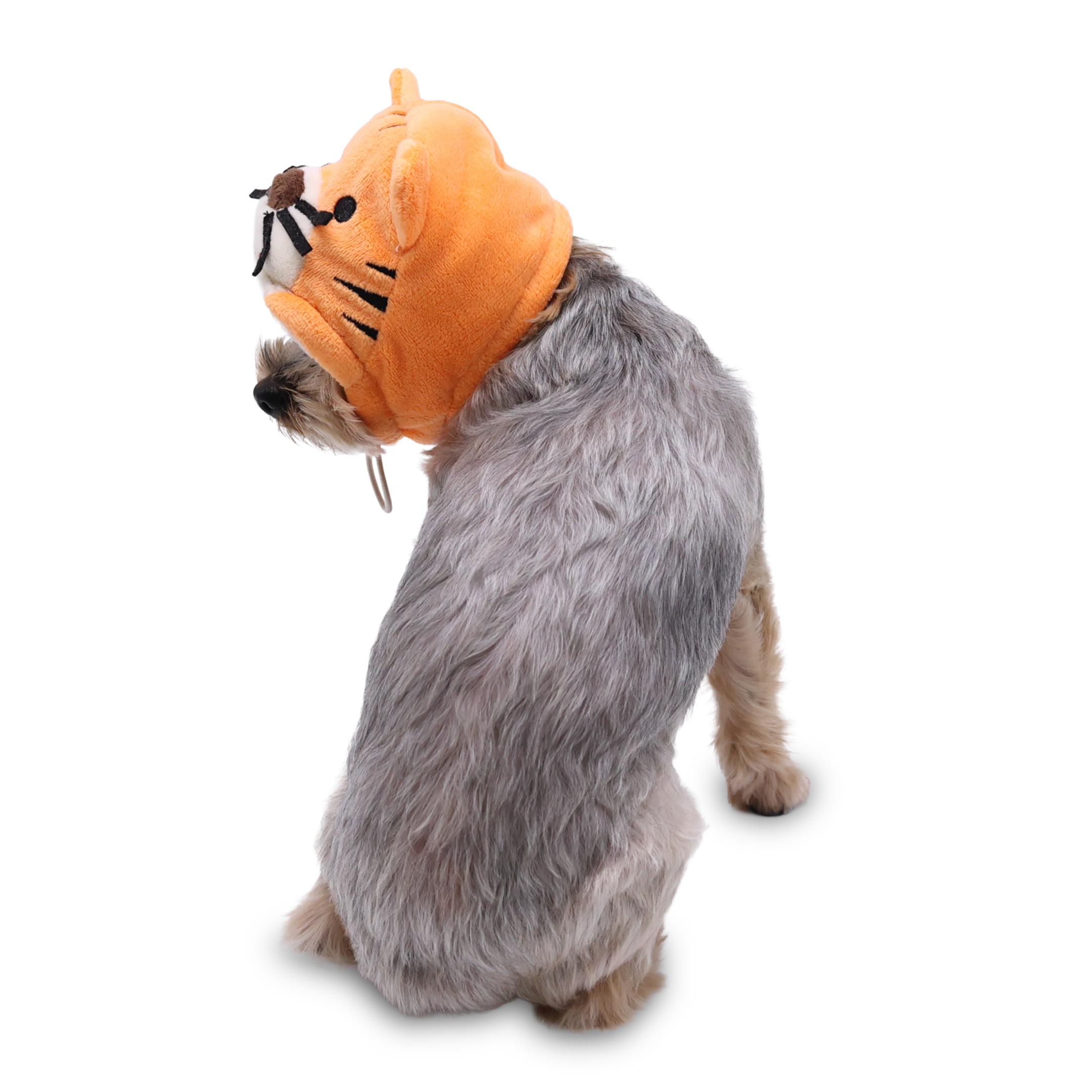 dogo
